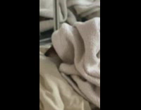 Dog sleeps under blanket on floor