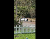 Girl split over white car rural area