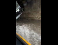 Car drive through flood on BQE road