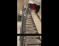 Collab VIBES - Lady gets scared of big dog on stairs 