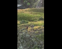 Three guys edge of cliff picture