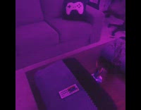 Home PC Setup tour of the filmer