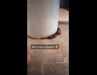 Guy makes Dalgona candy app 