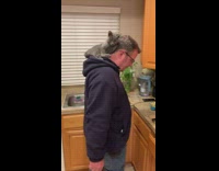 Grey cat sit nape of man kitchen