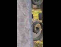 Woman yellow dress kick spin park luggage