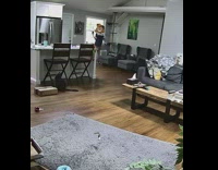 Collab BitchIG2 - Cat running back and forth  from toy to owner 