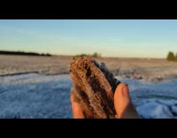 Ice shards formed from gravel morning yard