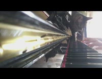 Brown cat walks across piano keys 