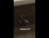 Poop smeared on purple subway seat