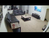 Collab BitchMP - Black dog barks painting on wall falls