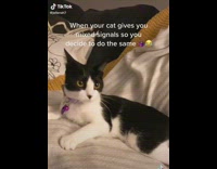 Woman give mix signals to her cat