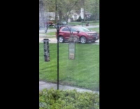 Squirrel sits on feeder hanging on hook 