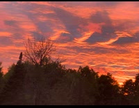 Beautiful orange clouds sunset sky view trees