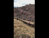 girl pink dress spin bridge grass