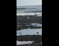 Lady Does Split Handstand on Rocks Next to Water