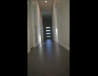 Dog retrieves ball toy 