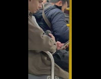 Man hold pigeon bird ride the bus