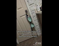 When he invites you over and you use the bathroom and see this 