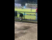 Guy runs inside the football field stadium 