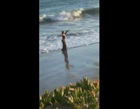 Woman long black dress belly dance beach