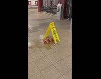 Shellfish Shells Found Under Caution Sign 