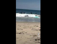 Video compilation of surf fail on beach