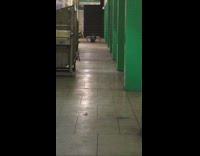 Guy does push ups on floor at subway station