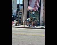 Two brown dogs lick ice cream street