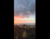 Collab BitchMP - Mans hand caught on cars door 