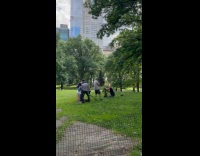 People film man plant tree on park