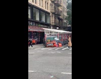 Giant pigeon mascot walks across street in NYC 