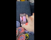 Cat scroll on phone and watch video