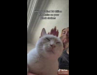 When you find 20 billion white hairs on your black clothes