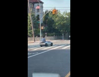 Guy drives mini cybertruck on the road