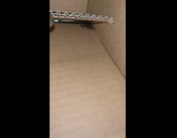 Small Scorpion found on the corner of a box