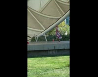 Woman skate spin dance stopped by security