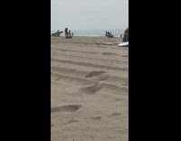 Black bikini white jacket girl beach pt. 2