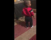 Collab KaleSaladIG - Toddler Flips Couch