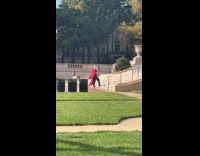 Guy in knight costume walks at university