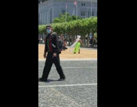 Neon green skirt white veil city hall 