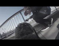 Tan dog walks through the street with gopro attached 