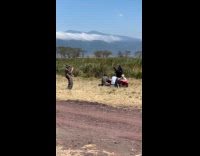 Collab IITW - Woman tiktok dance near people eat lunch