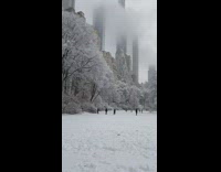 People stand on frozen lake at park