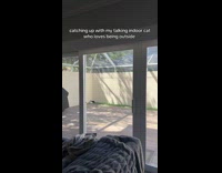 Woman checks on pet cat on yard 