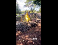 Collab Clips MPUGC - Clarinet pikachu player in park