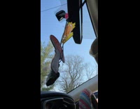 Gas cap of car farting noise 