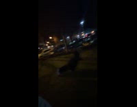 Woman passes out after 10hours of day drinking 