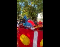 Dog dressed as stitch at dog parade