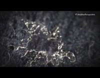 Guy melts single snowflake in reverse