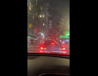 Toilet paper flies on top of car